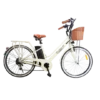 NAKTO Classic 36V/12Ah 350W Electric Bike