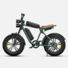 ENGWE M20 48V 13Ah/26Ah 750W All-Terrain Electric Bike