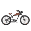 REVI Cheetah 48V 13Ah/17.5Ah 750W Electric Bike