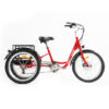 DWMEIGI Hera MG708 36V/13Ah 350W Step-Thru Electric Trike