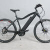 DWMEIGI DW7610 36V/10Ah 350W Electric Mountain Bike