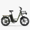 Fiido T1 Pro 48V/20Ah 750W Electric Utility Bike
