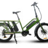 EUNORAU G20-CARGO 48V/11.6Ah 500W Mid Motor Dual Battery Cargo Electric Bike