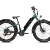 RadRover™ 6 Plus Electric Fat Tire Bike