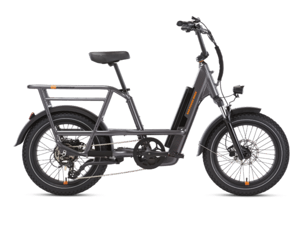 RadRunner™ 3 Plus Electric Utility Bike