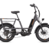 RadRunner™ 3 Plus Electric Utility Bike