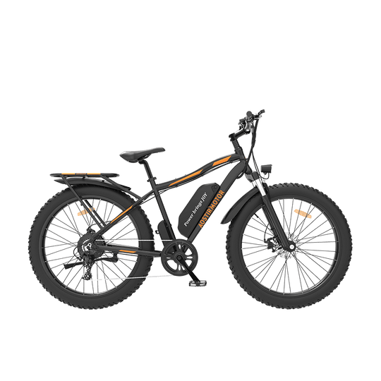 AOSTIRMOTOR S07-B 48V/13Ah 750W Fat Tire Electric Bike