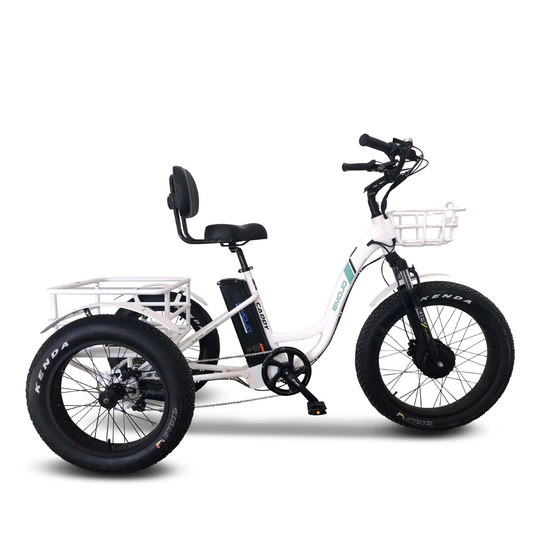 Emojo Caddy Pro 48V 500W Electric Trike