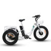 Emojo Caddy 48V/15.6Ah 500W Electric Trike