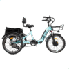 DWMEIGI Silverado MG2302 48V/13Ah 750W Electric Trike