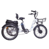 DWMEIGI Blazer MG2303 48V/16Ah 750W Electric Trike