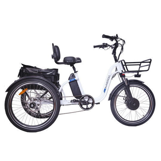 DWMEIGI Blazer MG2303 48V/16Ah 750W Electric Trike